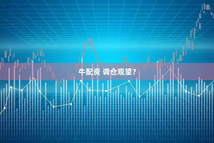牛配资 调仓观望？