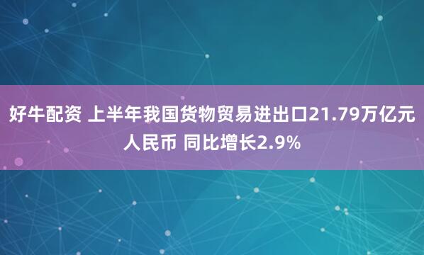 好牛配资 上半年我国货物贸易进出口21.79万亿元人民币 同比增长2.9%