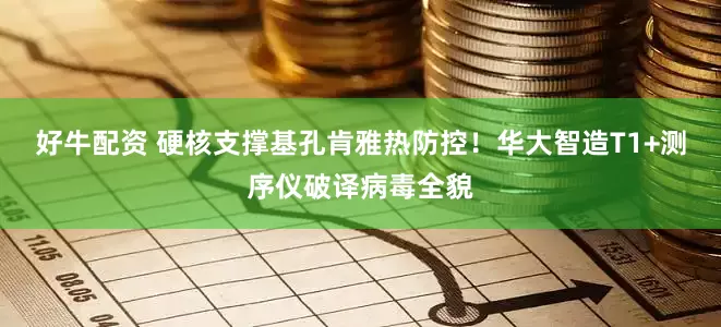 好牛配资 硬核支撑基孔肯雅热防控！华大智造T1+测序仪破译病毒全貌