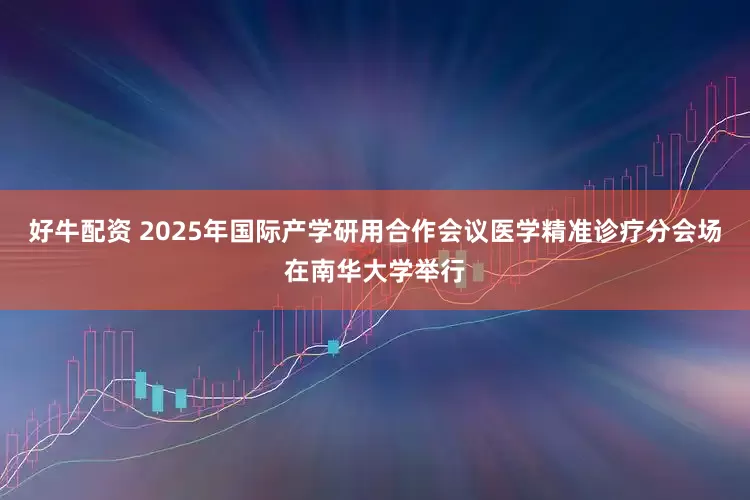 好牛配资 2025年国际产学研用合作会议医学精准诊疗分会场在南华大学举行