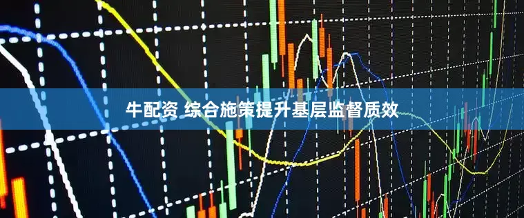 牛配资 综合施策提升基层监督质效
